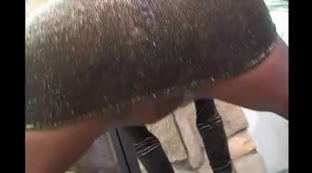 Nikia Shemale Porn Solo Shemale Masturbating Sex Big Cock Big Ass